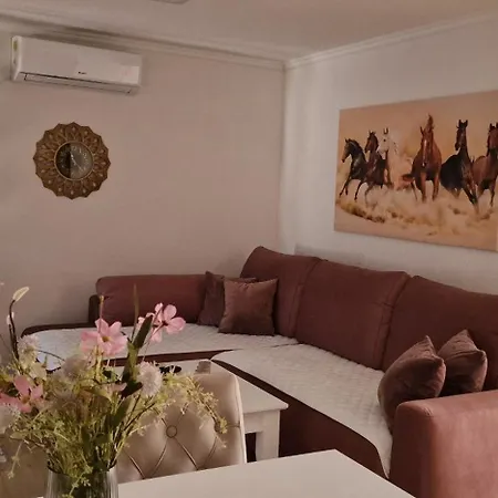 Bali - Aladinici * Stolac