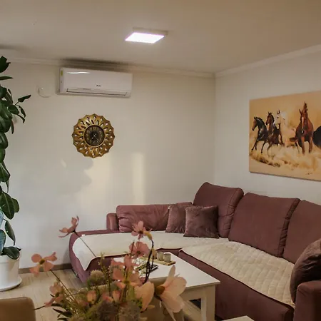 Bali - Aladinici Stolac