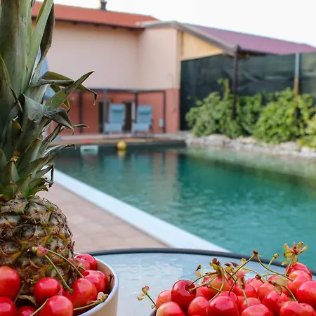 Bali - Aladinici Ferienhaus Stolac