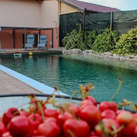 Ferienhaus Bali - Aladinici Stolac