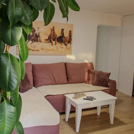Bali - Aladinici Holiday home Stolac