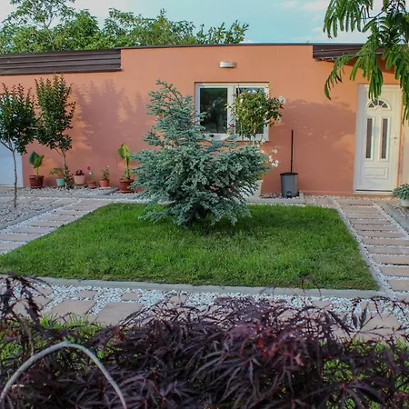 Bali - Aladinici Dom wakacyjny *